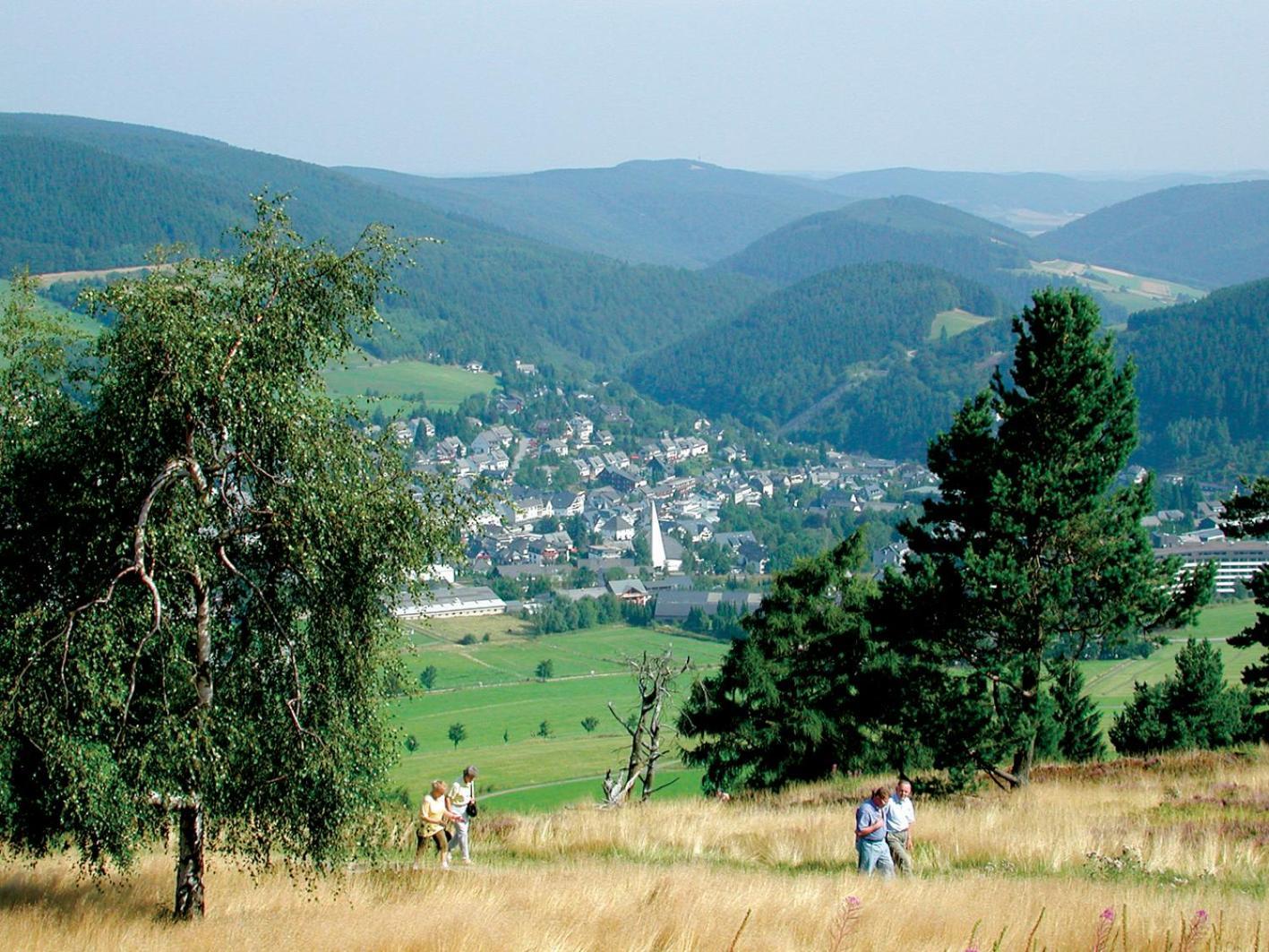 Friends & Family Domizil Willingen Lägenhet Willingen  Exteriör bild