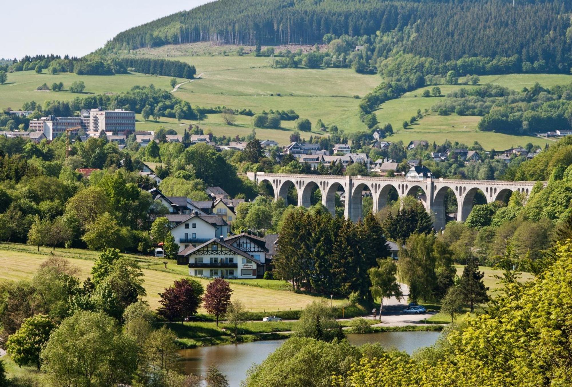 Friends & Family Domizil Willingen Lägenhet Willingen  Exteriör bild